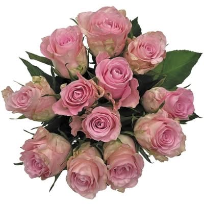 Un-Branded Dozen Roses In Assorted Colours 1.0 EA