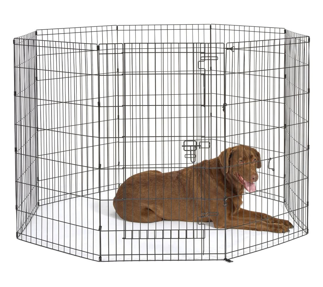 Essentials Exercise Pen with Door, 42 in