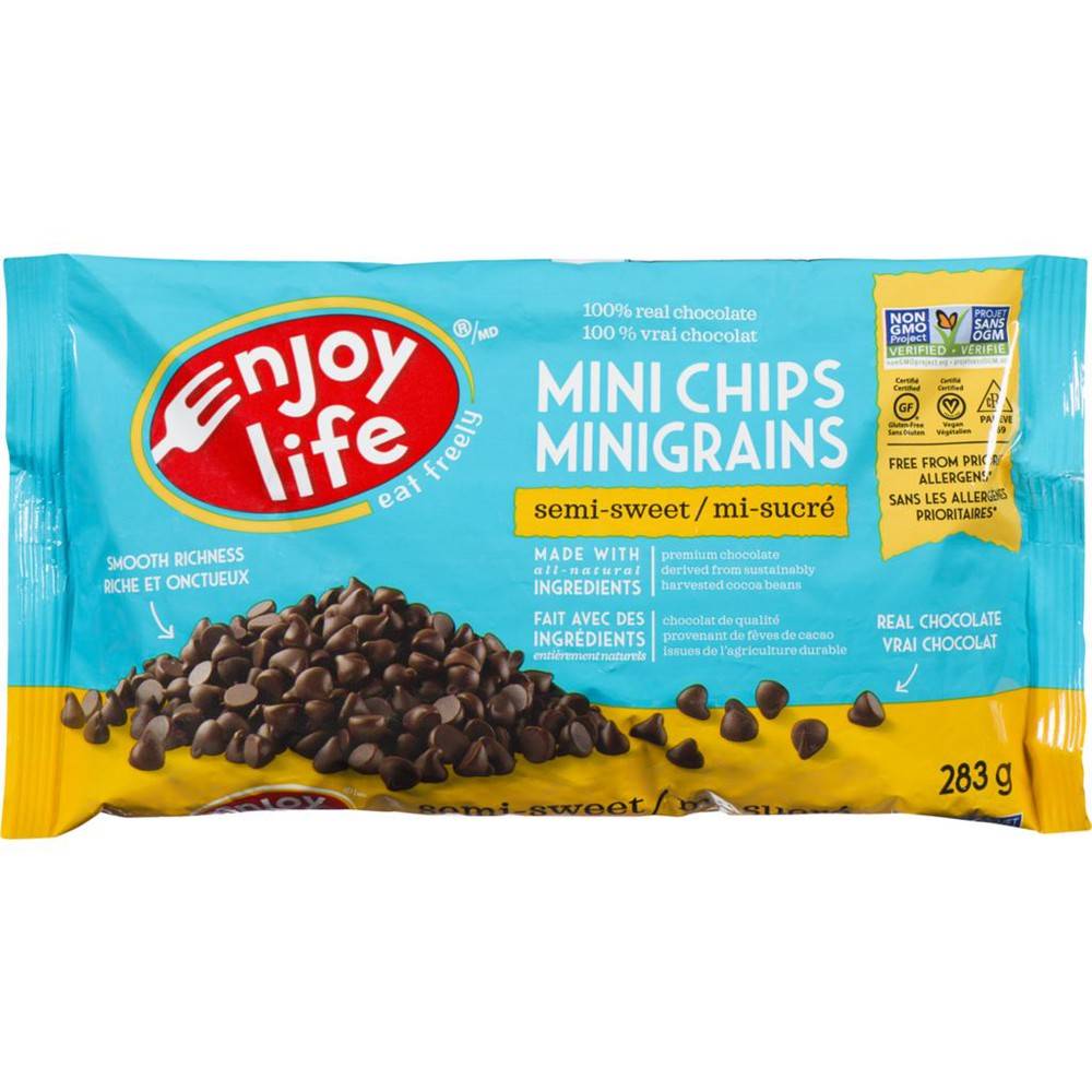 Enjoy Life Semi-Sweet Mini Chips (283 g)