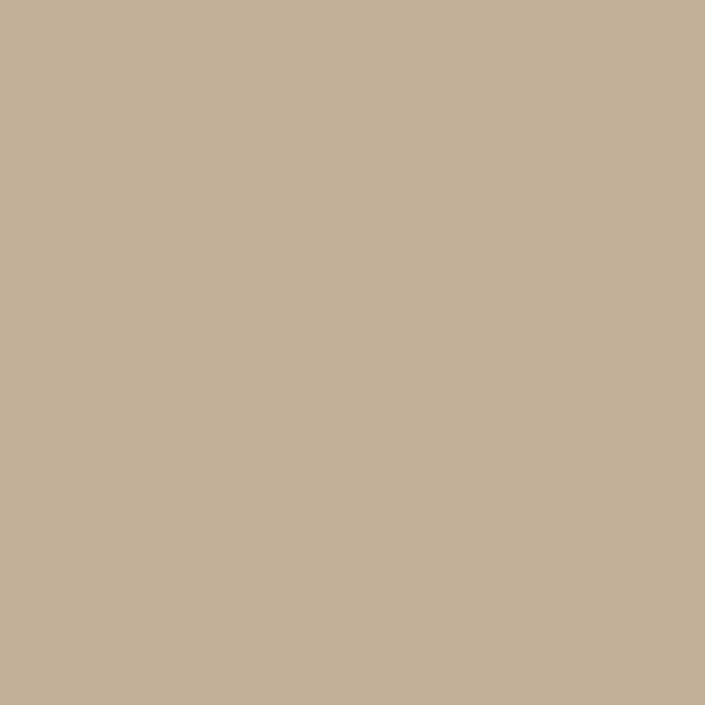 Clark+Kensington Midtone Hi Hide Water-Based Paint Sample 8 Oz Pebble Creek 3042 Pebble Creek Sample