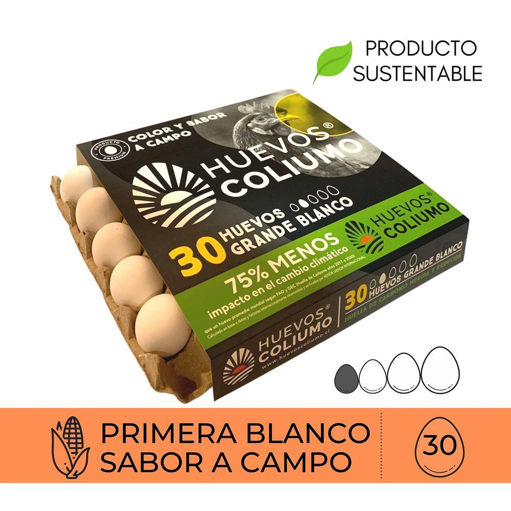 Huevos Coliumo · Huevos grande blanco (30 un)