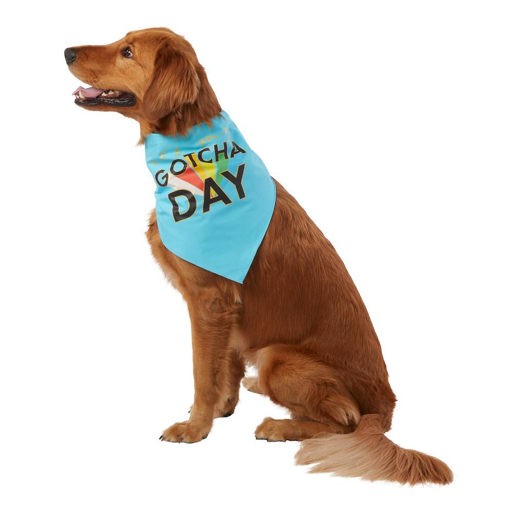 Top Paw® Gotcha Day & Party Animal Reversible Dog Bandana (Color: Multi Color, Size: Small/Medium)