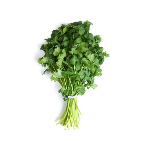 Cilantro Coriander 1 Bunch