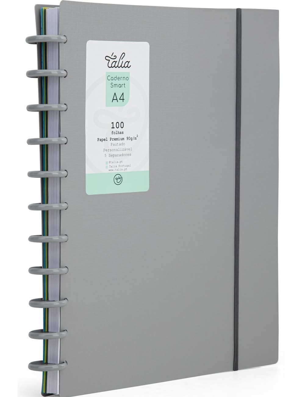 Caderno Smart A4 com Elástico 100 Folhas Cinzento Talia