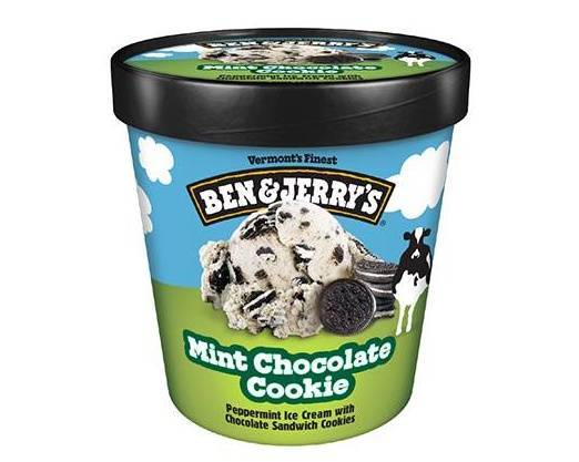 Ben and Jerry's Mint Chocolate Cookie Pint