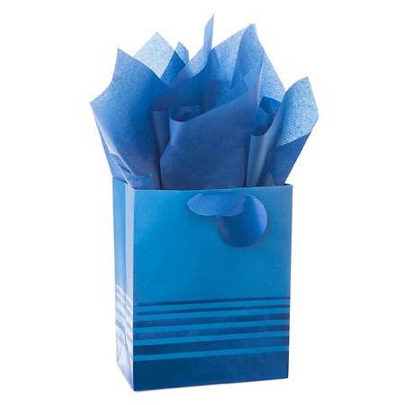 Hallmark Medium Gift Bag With Tissue Paper