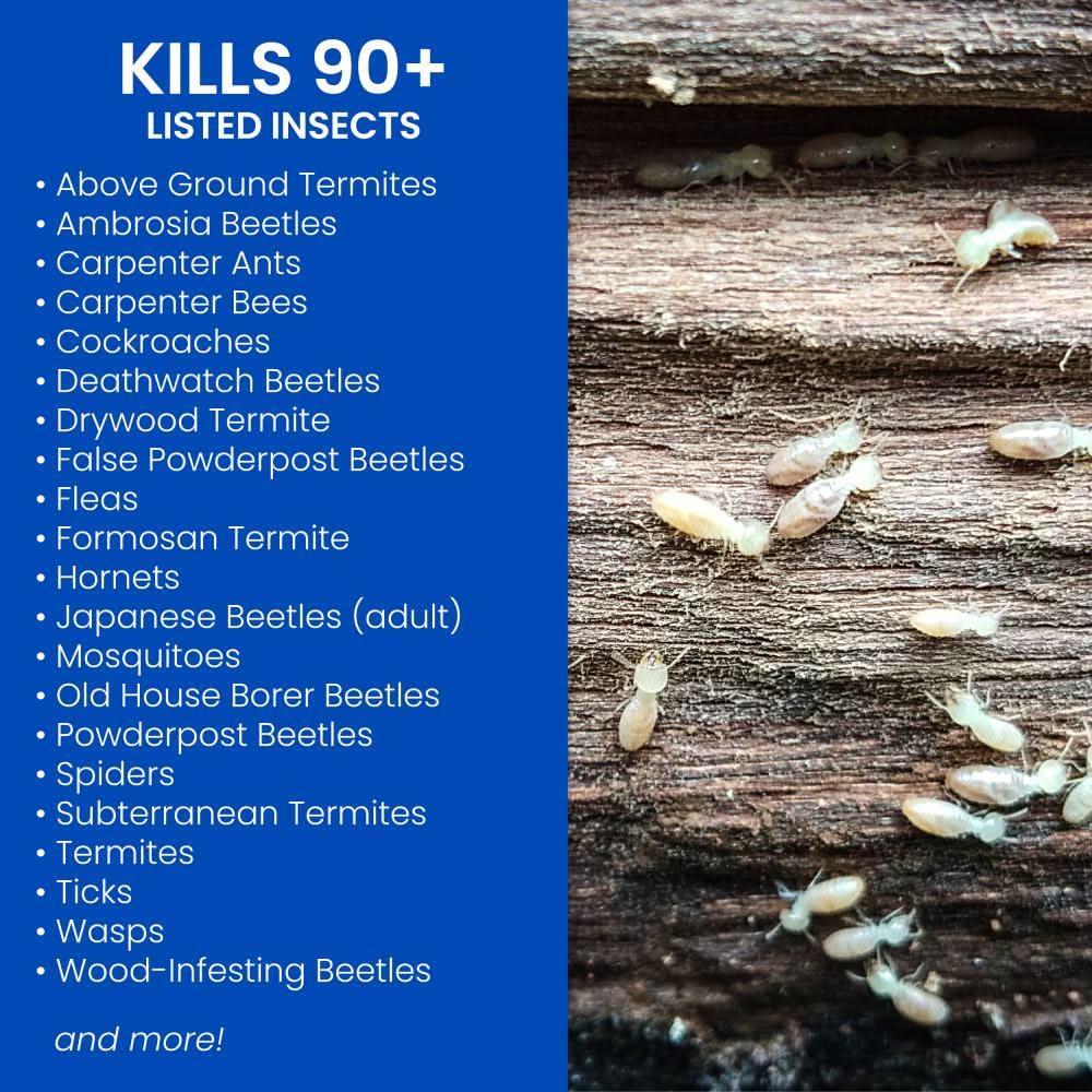 BioAdvanced Carpenter Ant & Termite Killer Concentrate - Thumbnail 3