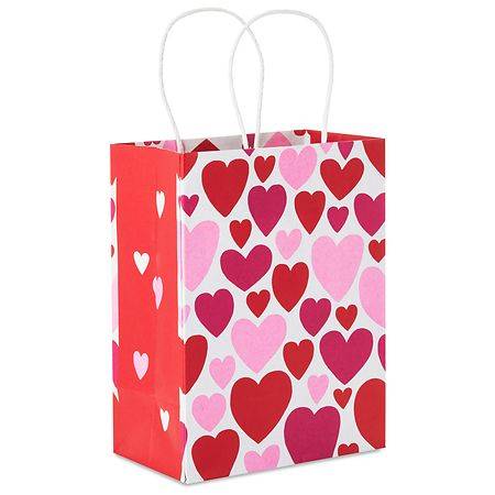Hallmark Small Valentine's Day Gift Bag (Multicolor Hearts) - 1.0 ea