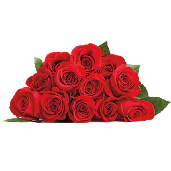 12 Stem Rose Bouquet - Wrapped (colors vary depending on availability)