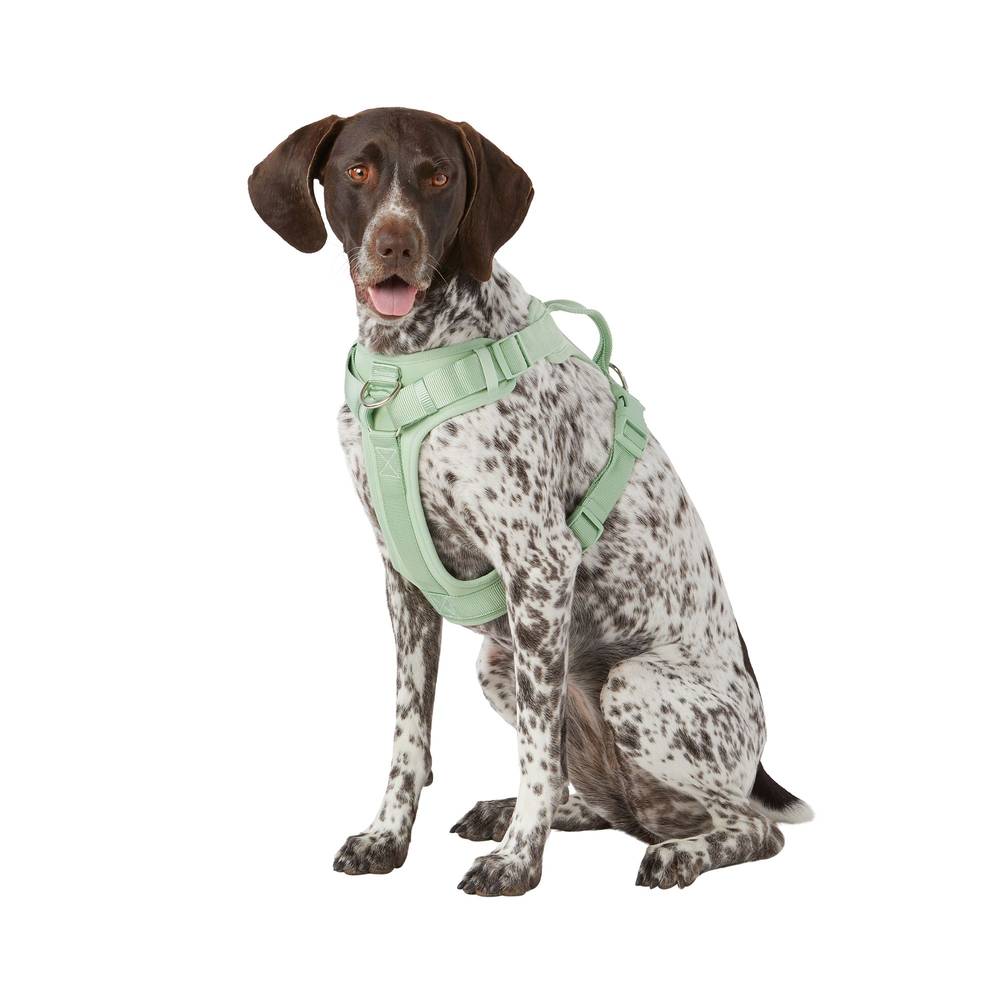 Top Paw Core Fashion Adjustable Comfort Dog Harness (large/green)