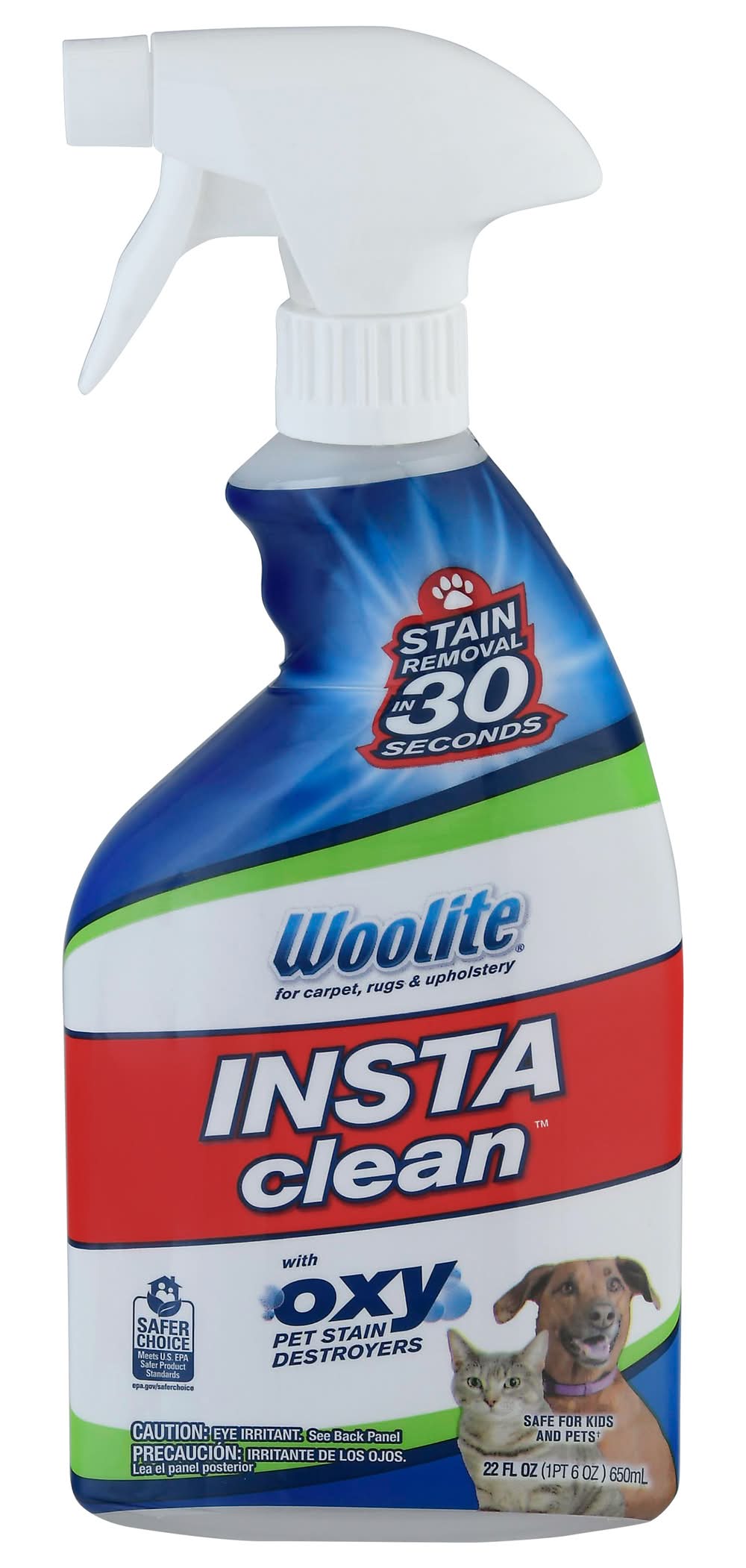Woolite Instaclean Stain Remover (22 fl oz)