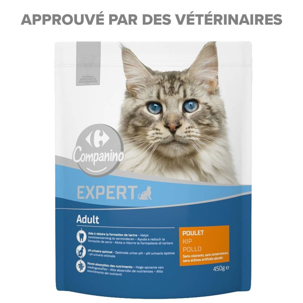 Carrefour - Companino croquettes pour chat adulte au poulet