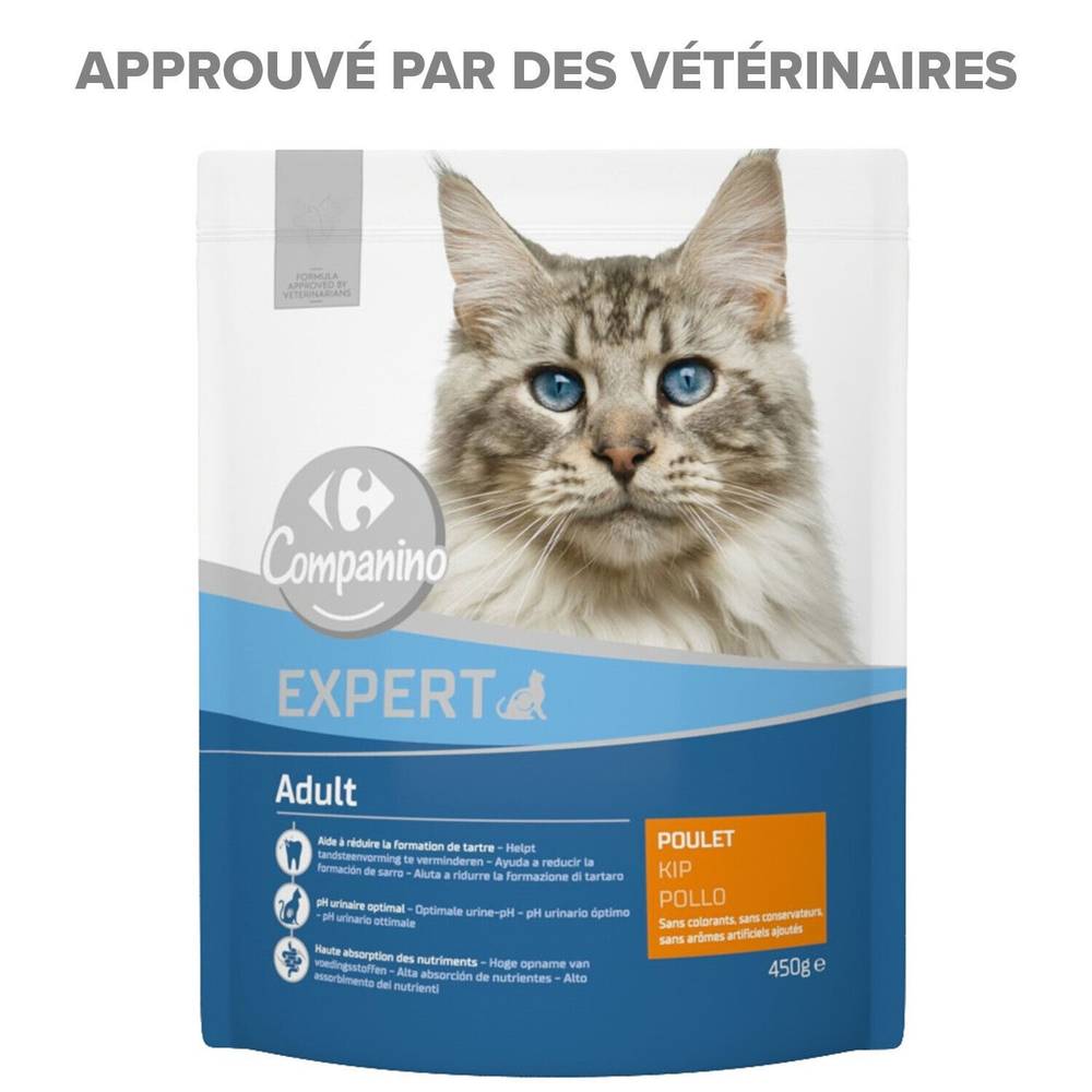 Carrefour - Croquettes pour chat adulte au poulet (450g)
