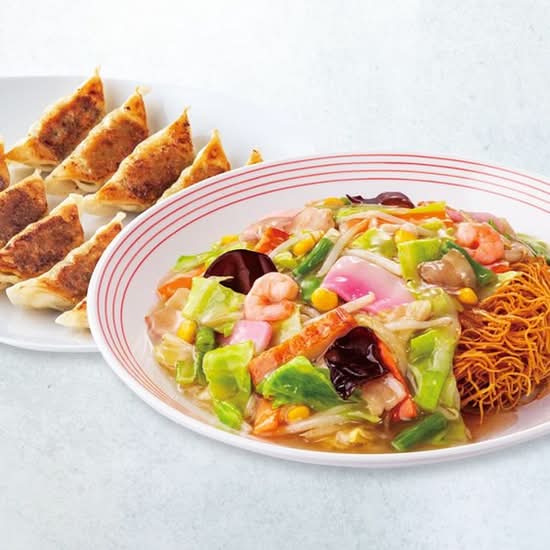 皿うどんぎょうざ10個セット