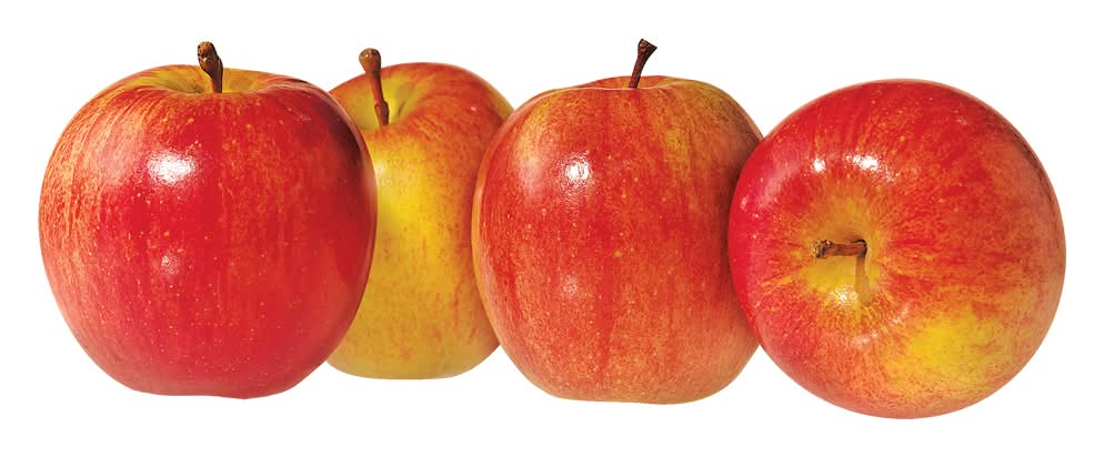 Fuji Apples, Bag