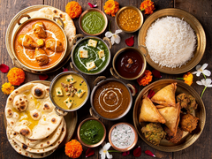Authentic Indian Curry House and Street Food (1900 NE Miami Ct)