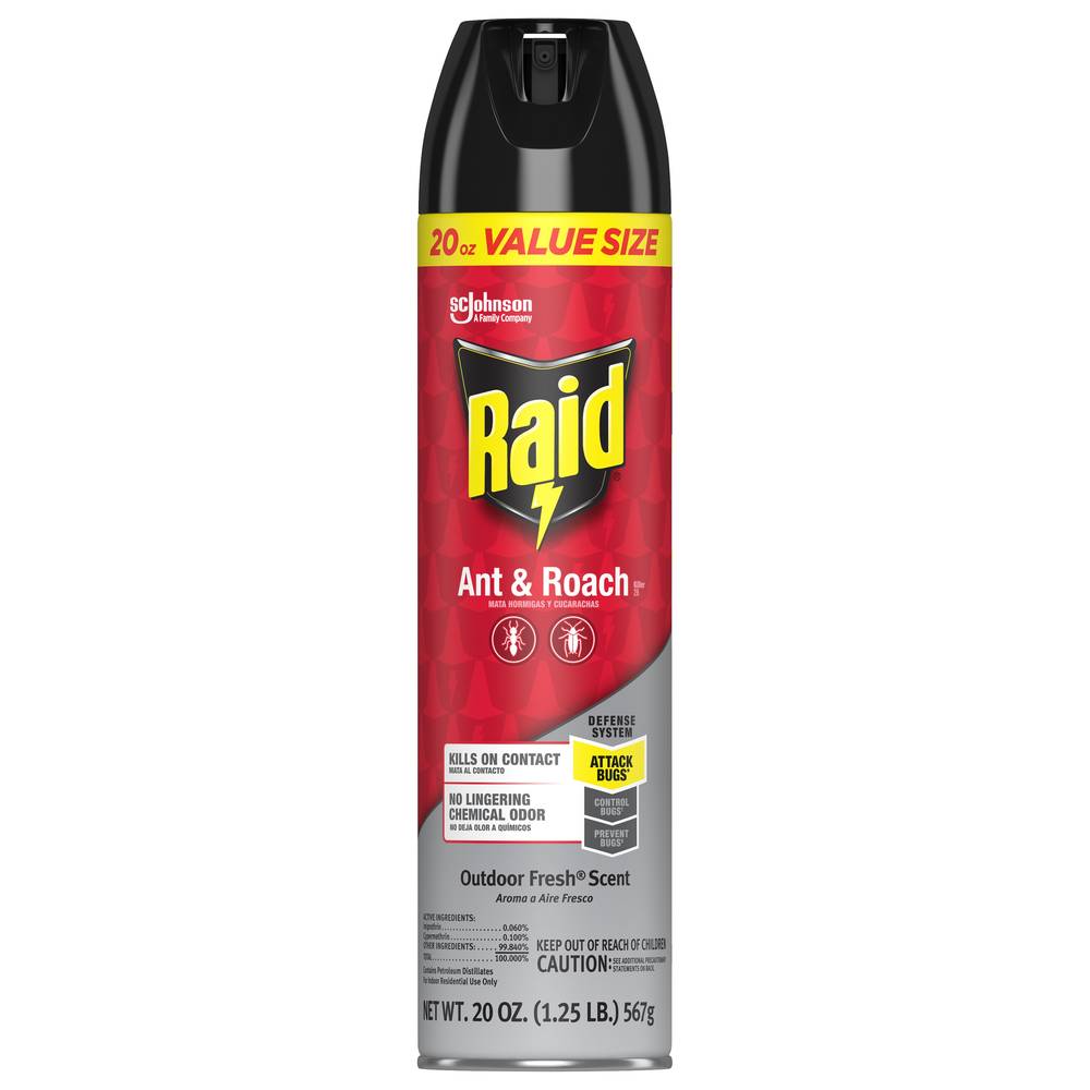 Raid 20-oz Defend Ant and Roach Killer Home and Perimeter Indoor Bug Spray | 323235