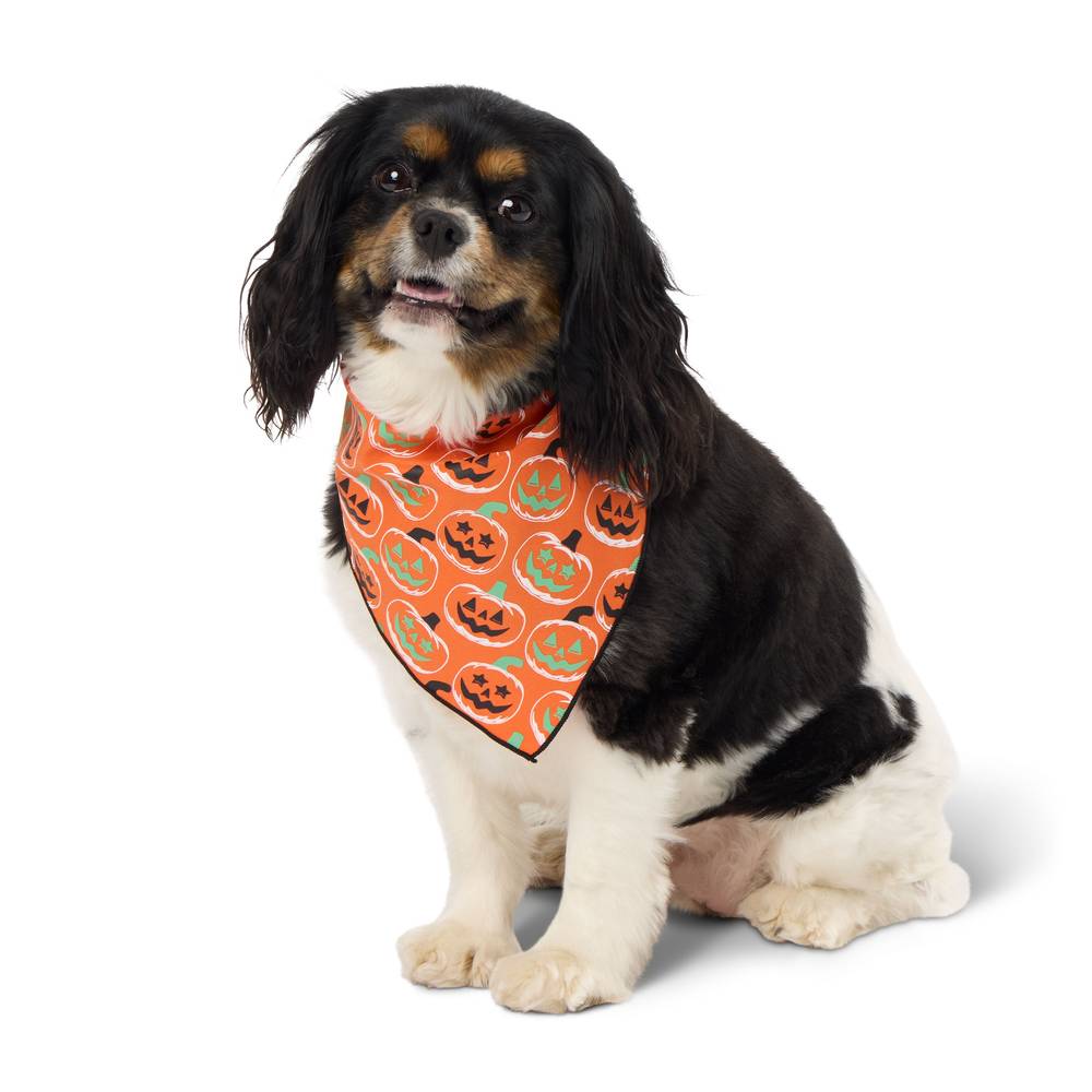 Thrills & Chills Pumpkin Pet Bandana (Color: Orange, Size: X Small/Small)