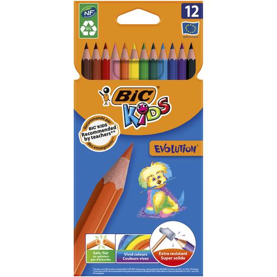 Bic Kids - Crayons de couleur (12 pièces)