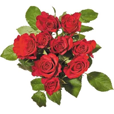 Roses 9 Tiges / Roses, 9 Stems 1.0 EA