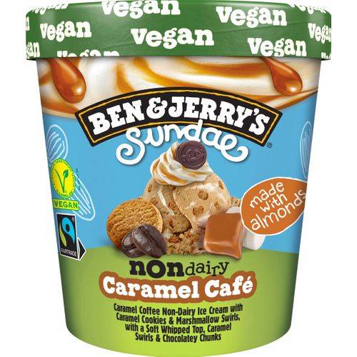 Ben & Jerryś caramel café vegan 427 ml