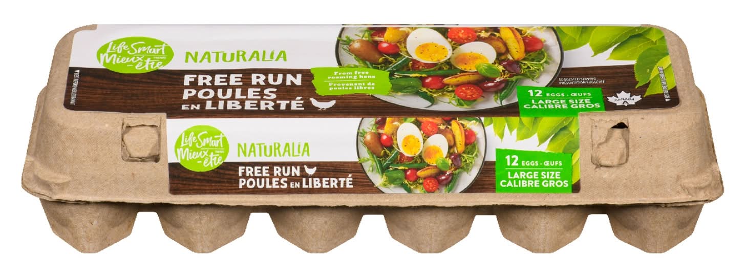 Lifesmart Large Eggs form Free Run Hens (12 un)