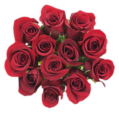 Red Dozen Rose Bunches - Ea