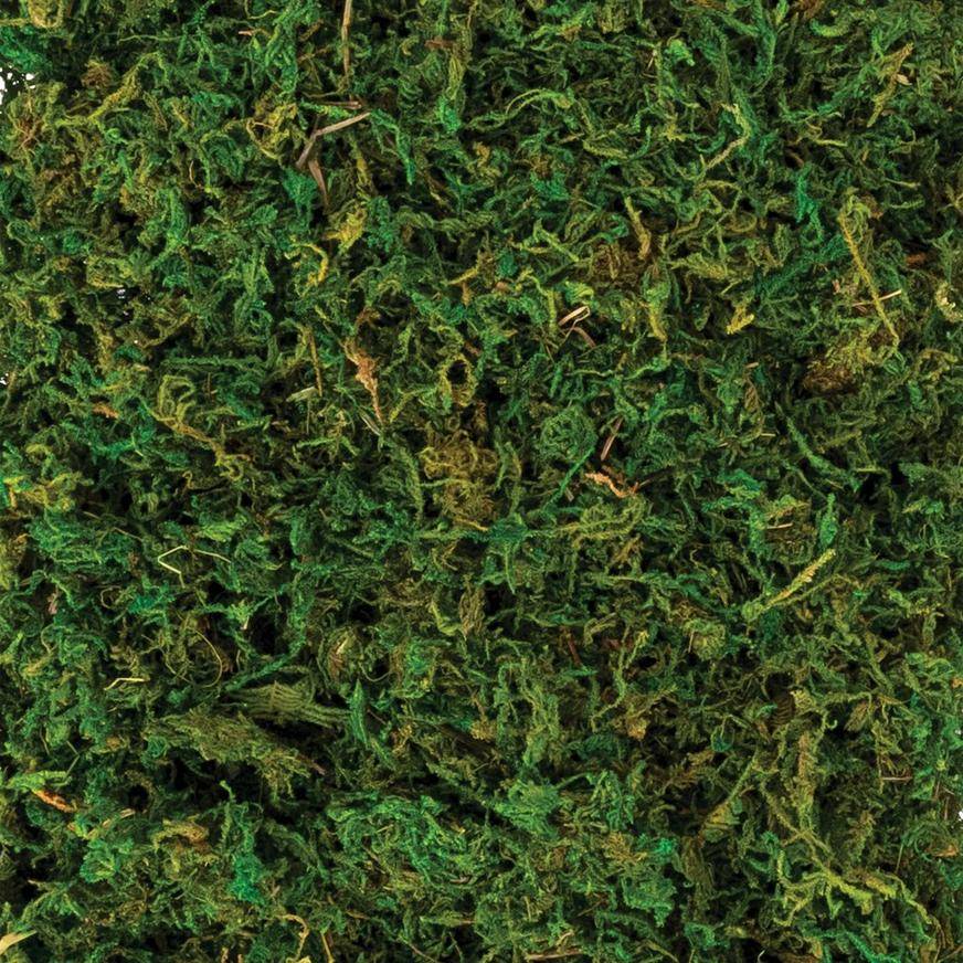 Natural Moss, 4.2oz