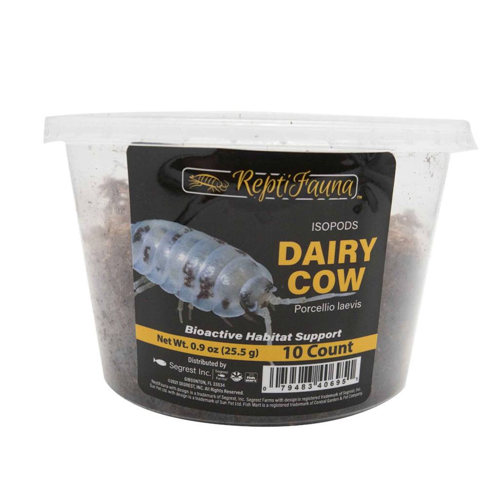 Reptifauna Isopod Dairy Cow, 10 Count - Not Available For Delivery