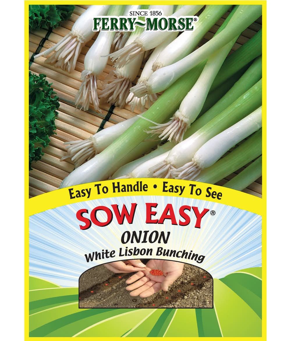 Ferry-Morse Onion Seeds 150 Count