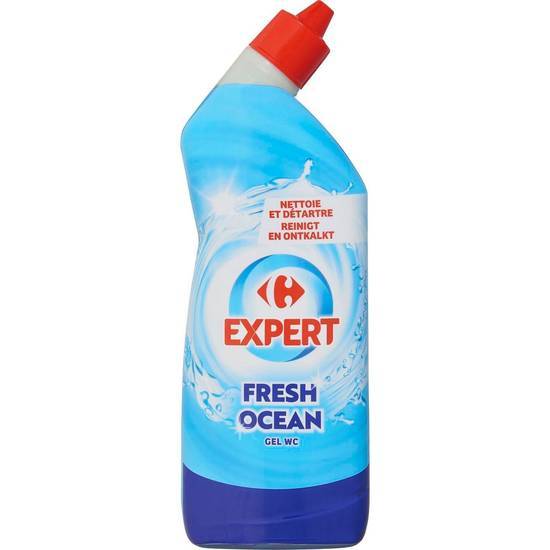 Carrefour Expert - Fresh ocean gel wc