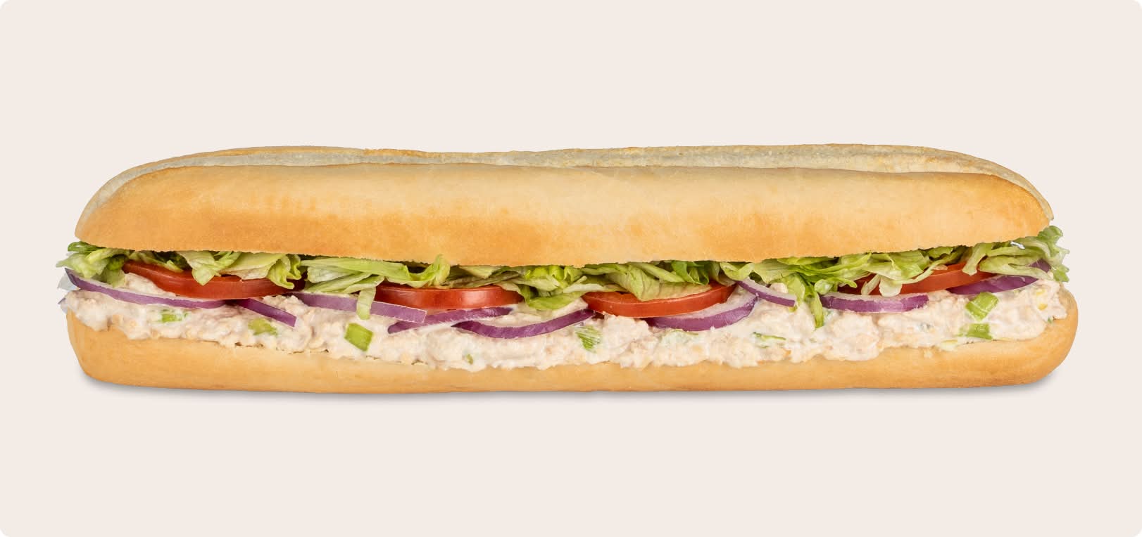 12 in Tuna Sub