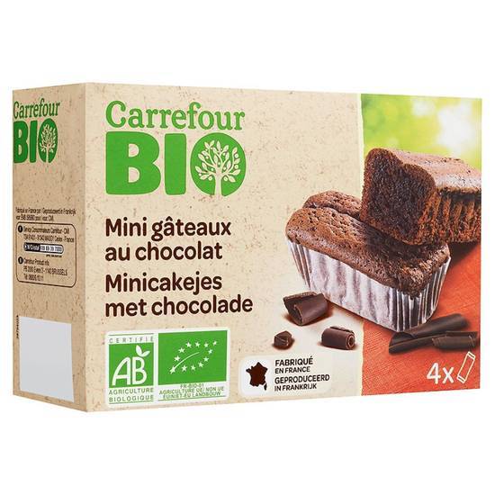 Carrefour Bio - Mini gâteaux (chocolat)