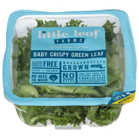 Little Leaf Baby Crispy Green Leaf -  Online Kosher  Grocery Shopping and Delivery Service