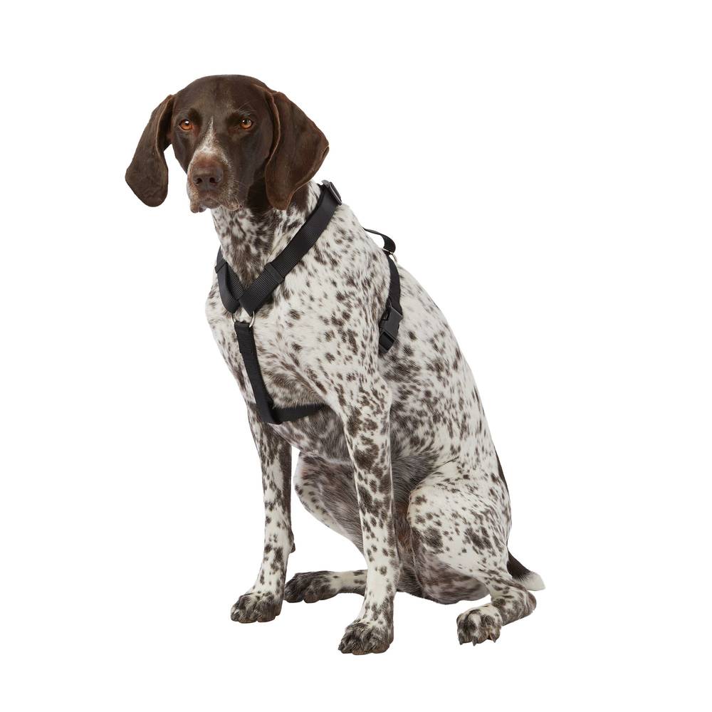 Top Paw® Signature Adjustable Dog Harness (Color: Black, Size: Medium)