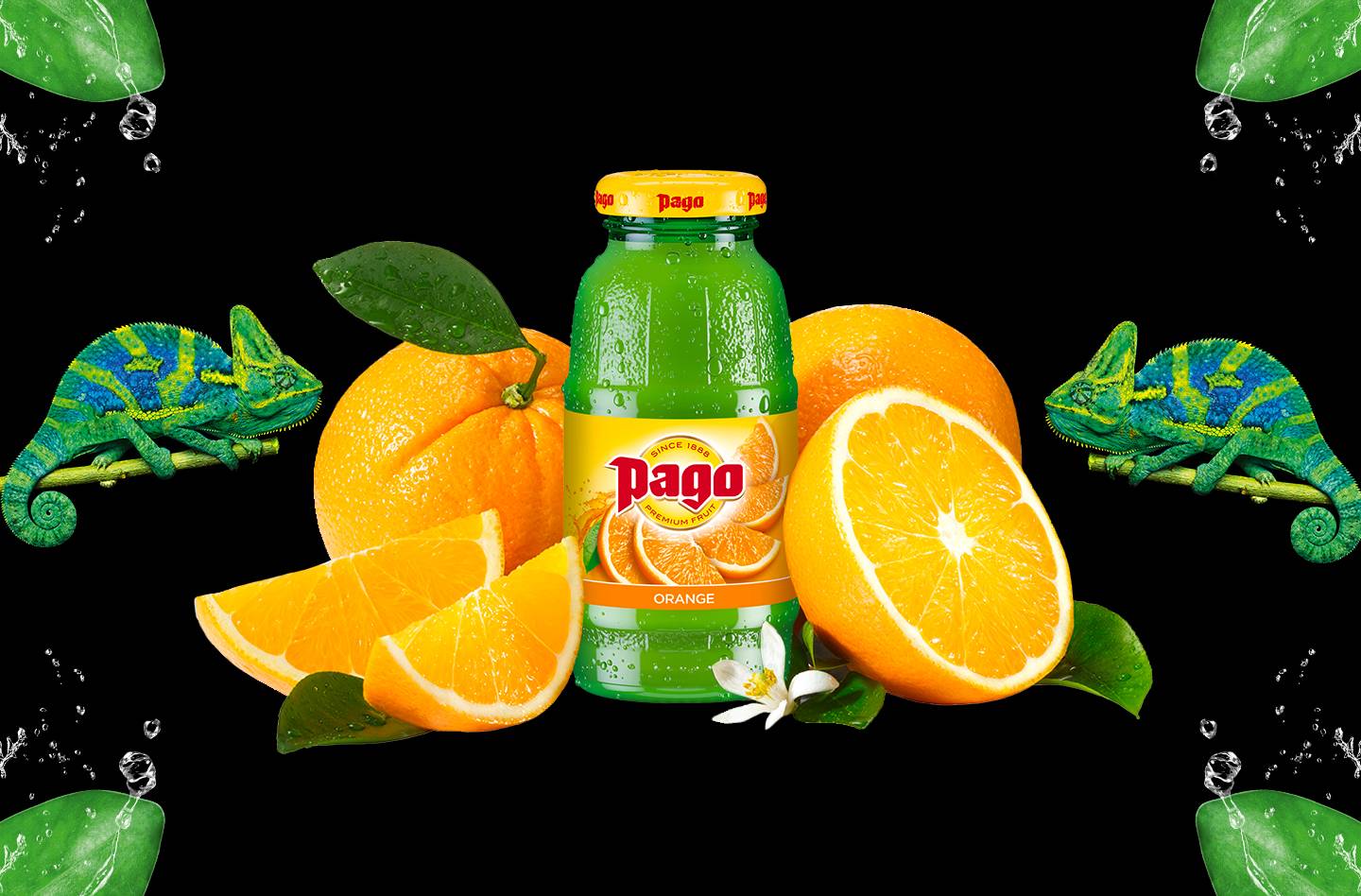 Pago orange