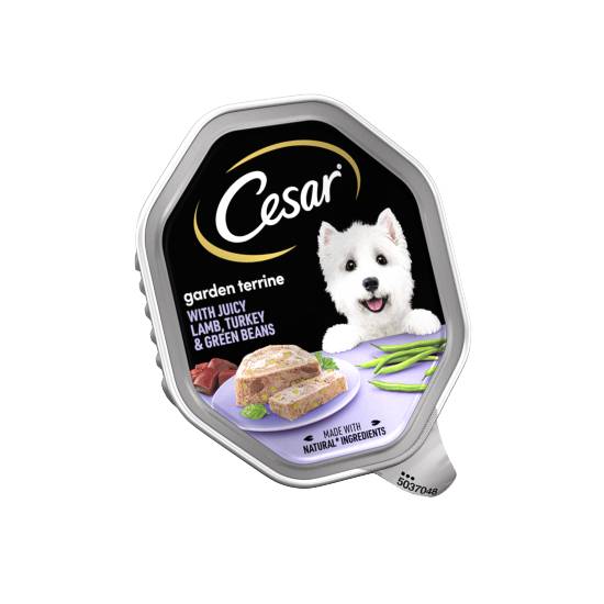 Cesar Garden Terrine Dog Food (150g)