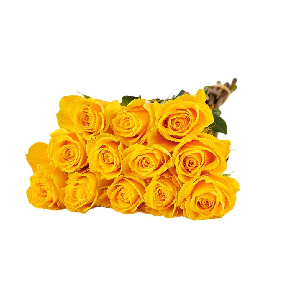 Dozen Yellow Roses