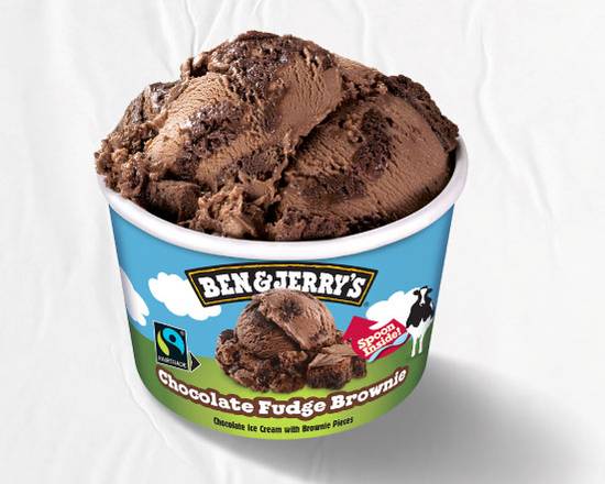 Ben & Jerry's Chocolate Fudge Brownie Ice Cream 100ml