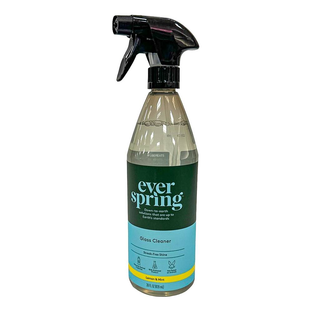 Lemon & Mint Glass Cleaner - 28 fl oz - Everspring™