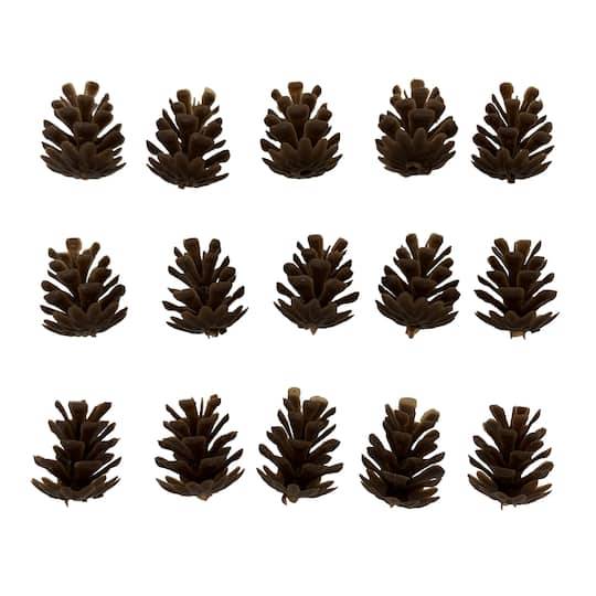 Fall Pinecone Mini Decoration, 15Pc. By Ashland