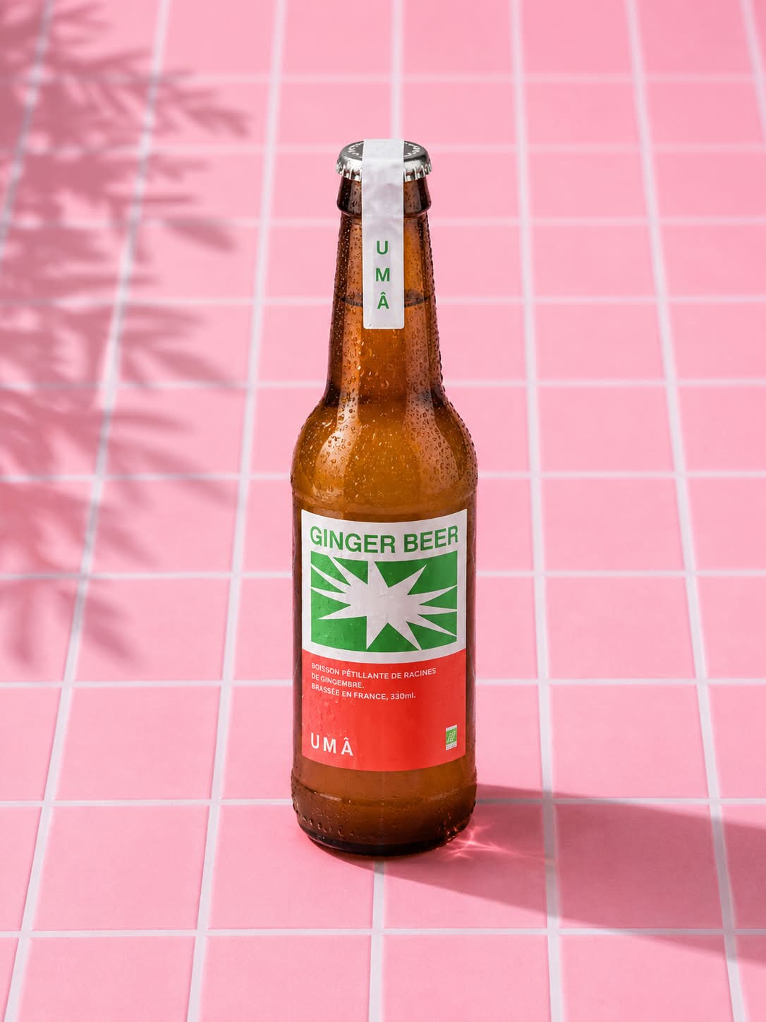 Ginger Beer