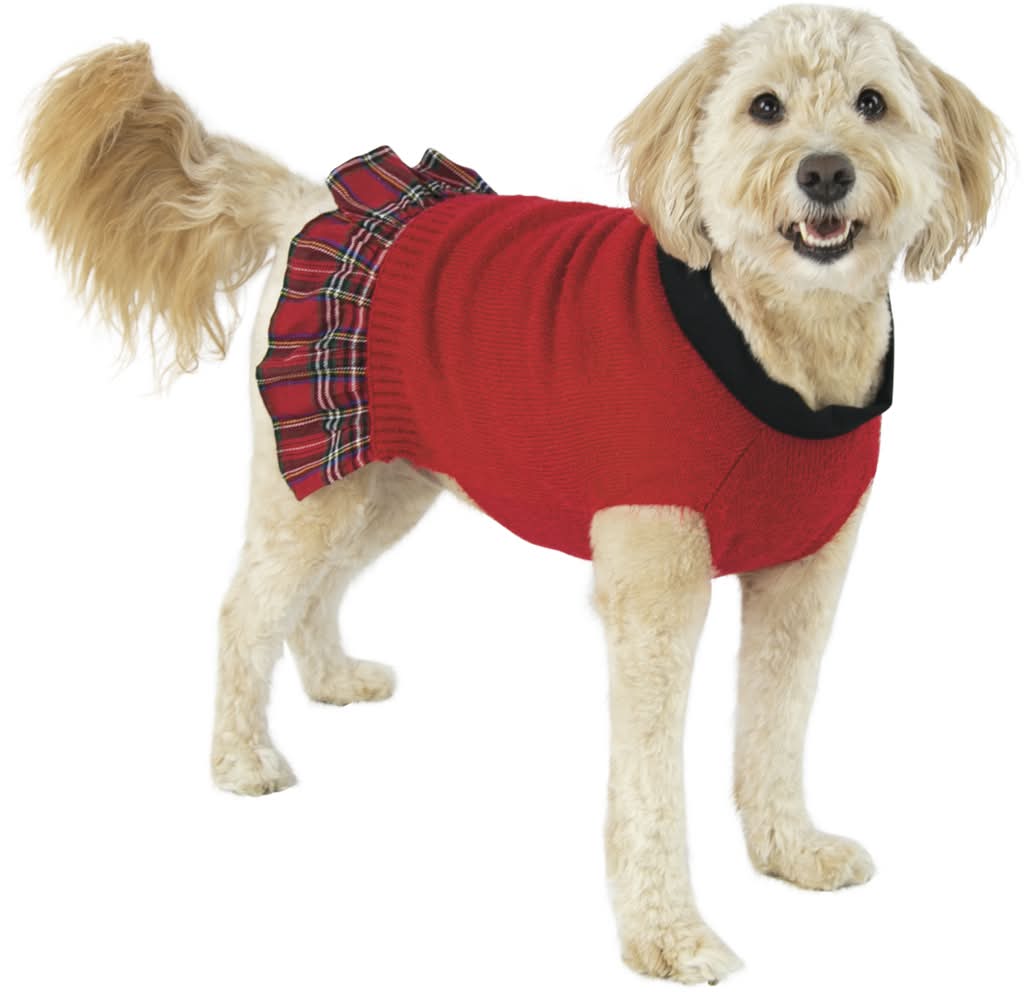 Play On Holiday Dog Sweater Dress Delivery Near Me | Order Online | Uber  Eats