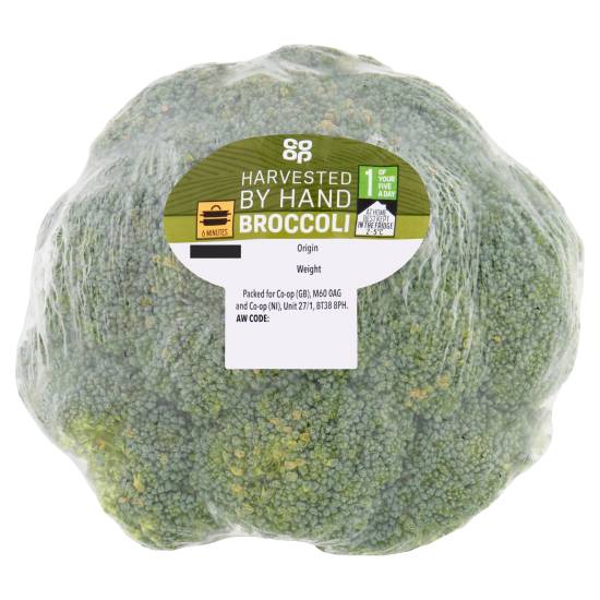 Co-Op Broccoli 335g