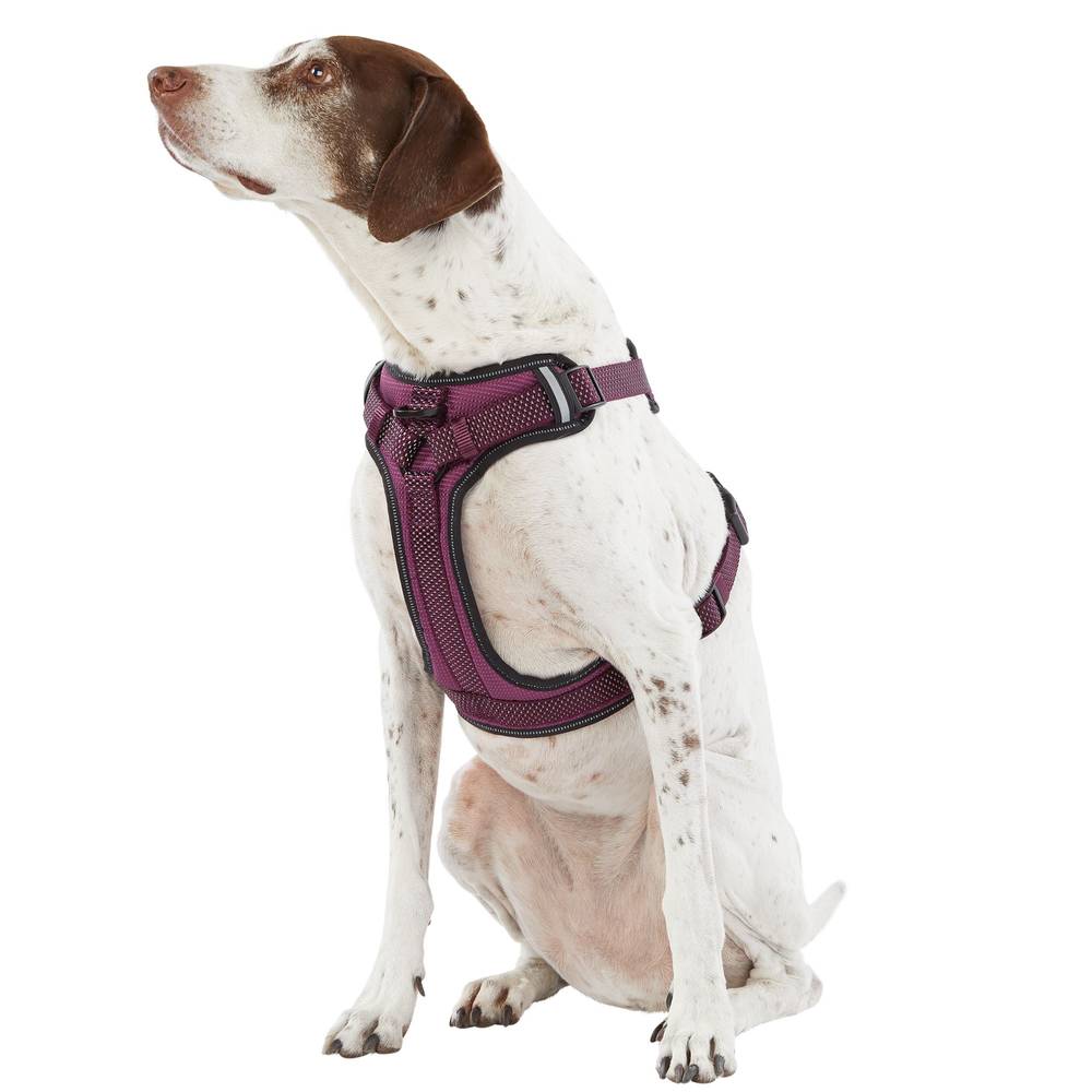 Top Paw® Ultra-Reflective Dog Harness (Color: Purple, Size: Medium)