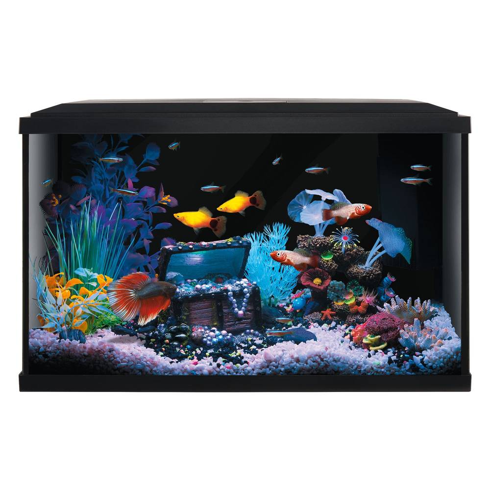 Top Fin Colorpop Aquarium Starter Kit With 7 Color-Changing Leds