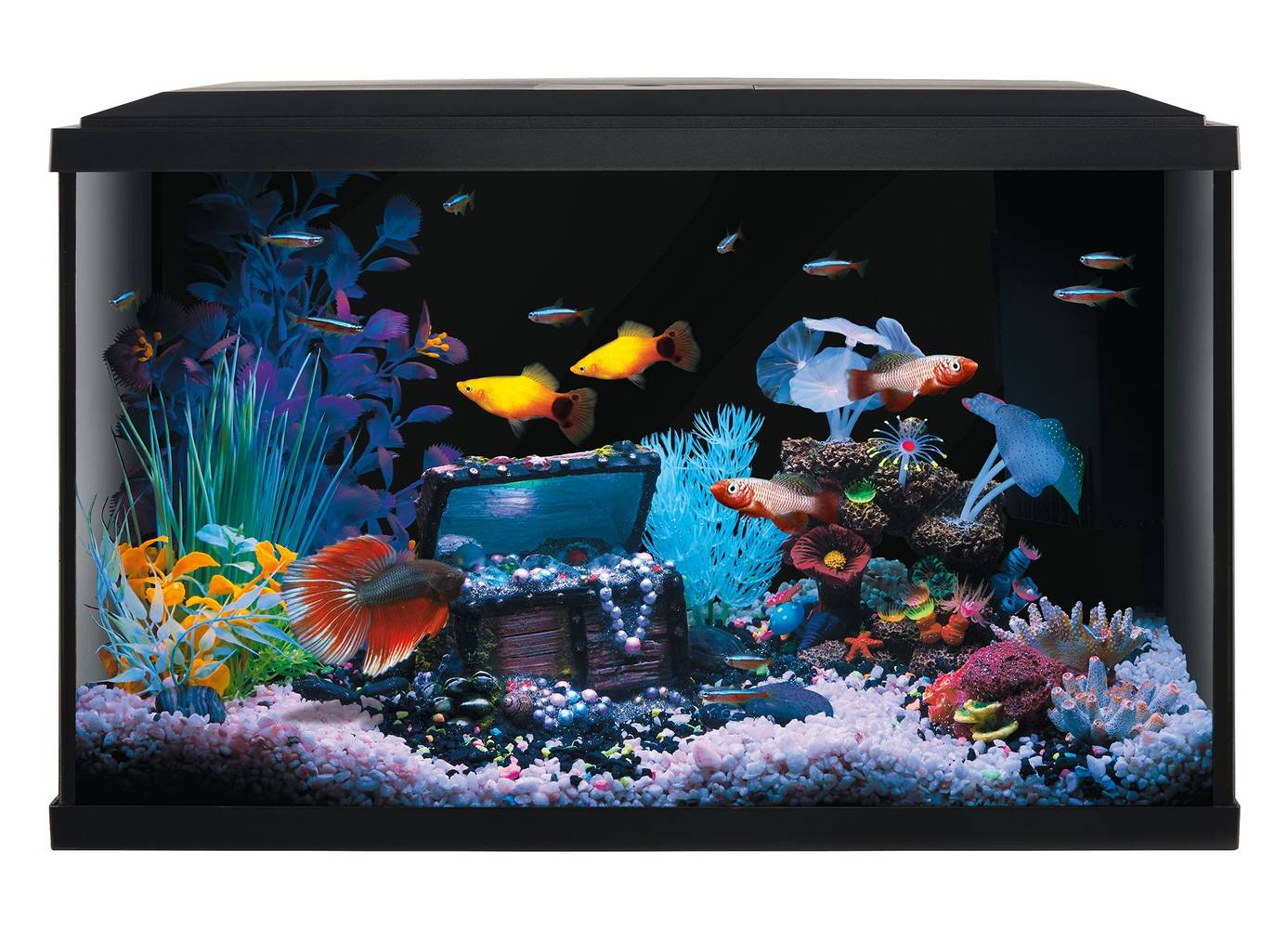 Top Fin Colorpop Aquarium Starter Kit With 7 Color-Changing Leds
