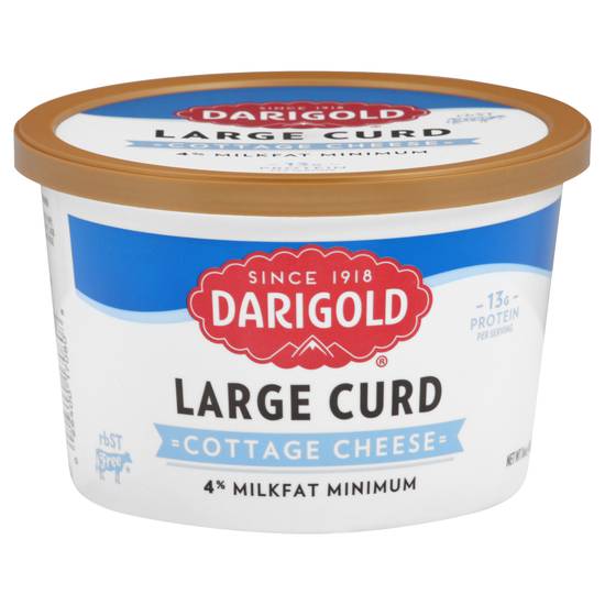 Darigold Large Curd Cottage Cheese (16 oz)