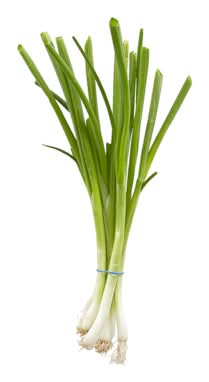 Peak of the Market Oignons Verts / Green Onion 1.0 EA