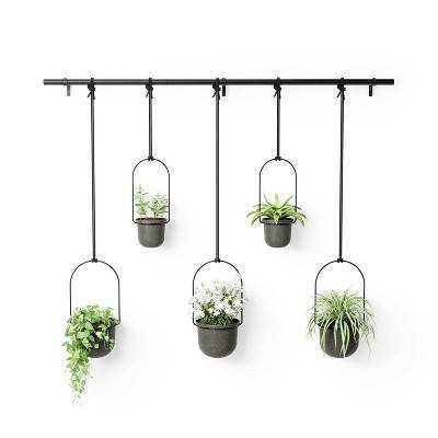 Triflora 5 Hanging Planter Black - Umbra: Ceiling & Wall Mount, Indoor/Outdoor, Modern Style